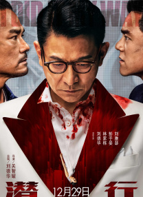 老女人av在线